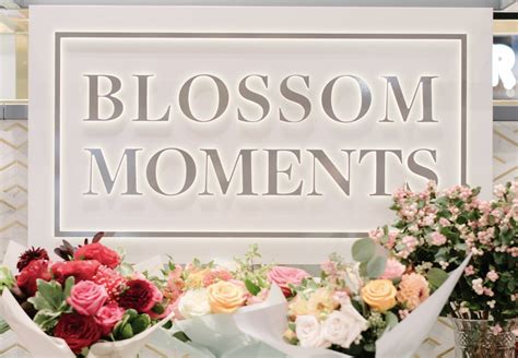 blossom.moments|blossom moments shopping center.